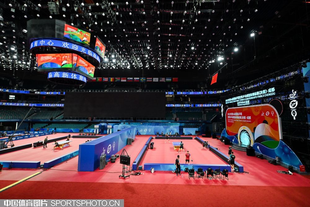 博弈心理：损失厌恶如何扭曲下注规模？（行为金融视角：损失厌恶如何影响你的下注大小？）